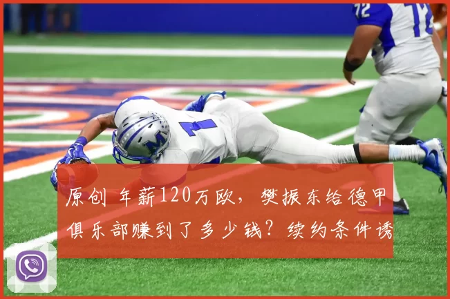 原创 年薪120万欧，樊振东给德甲俱乐部赚到了多少钱？续约条件诱人