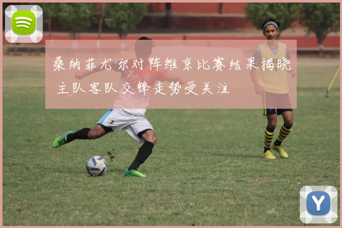 桑纳菲尤尔对阵维京比赛结果揭晓 主队客队交锋走势受关注